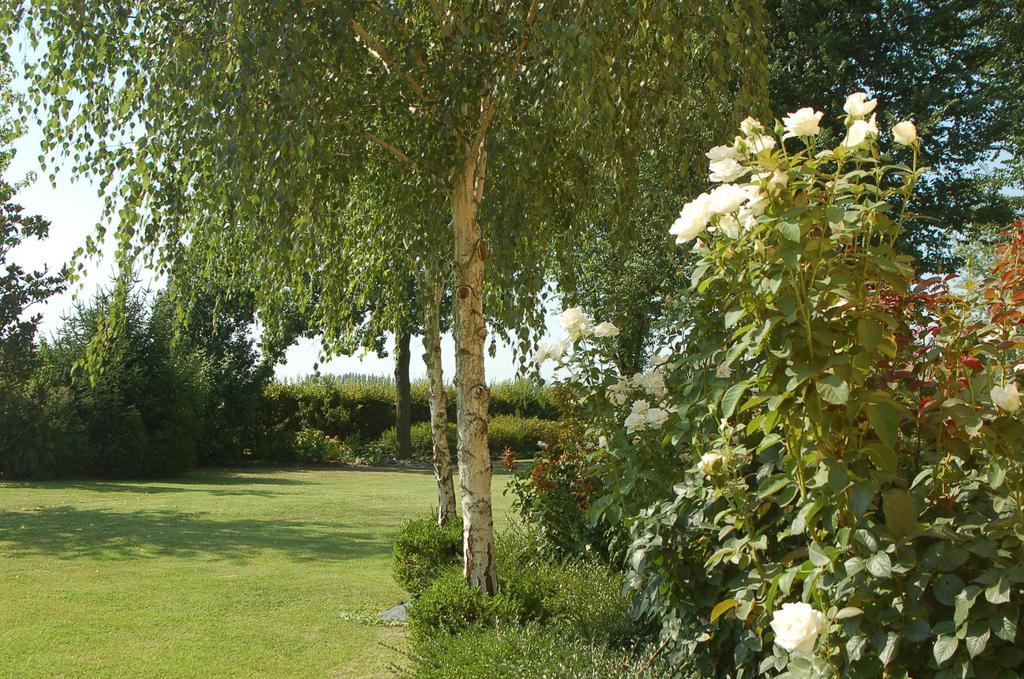 B&B Temenos Parma Bagian luar foto